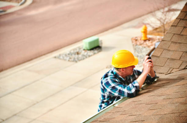 Best Roof Coating and Sealing  in Carson City, MI